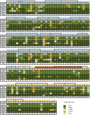 HIV Capsid Protein Genetic Diversity Across HIV-1 Variants and Impact on New Capsid-Inhibitor Lenacapavir